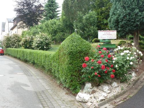 Ferienwohnungen Eckstein Bernkastel-Kues allemagne