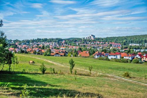 Appartements Ferienwohnungen Friedrichroda THU 090 August-Eckardt-Straße 2 Friedrichroda