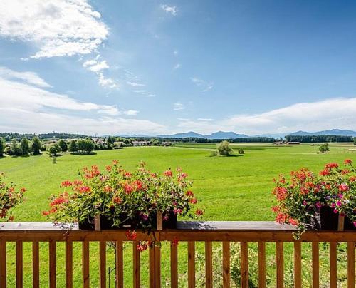 Appartements Ferienwohnungen Gut Fasanenhöhe 46 Tabinger Straße Gut Fasanenhöhe Chieming