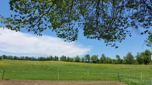Ferienwohnungen Hof Plenkitten Ingstetten allemagne
