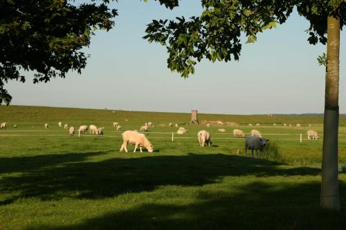 Ferienwohnungen im Womoland auf No Nordstrand allemagne