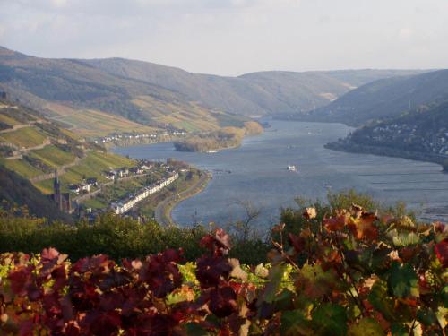 Ferienwohnungen Kachel Bacharach allemagne