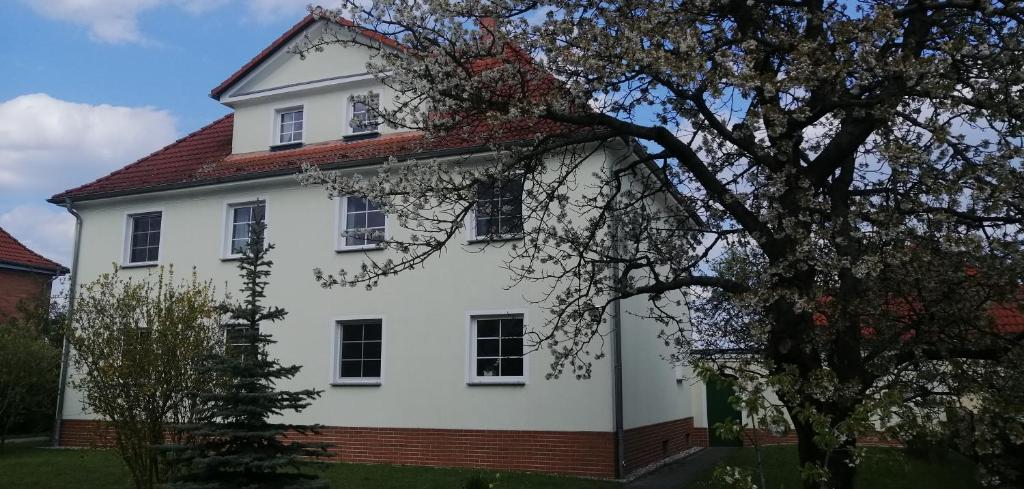 Appartements Ferienwohnungen Kleinräschen Mühlenstraße 19, 01983 Großräschen
