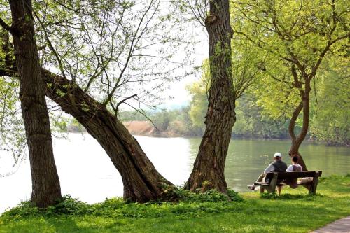 Ferienwohnungen Klink SEE 9240 Klink allemagne