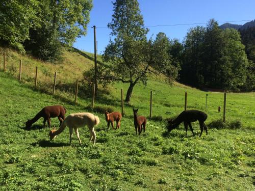 Appartements Ferienwohnungen Landinger Einfang 10 Aschau im Chiemgau