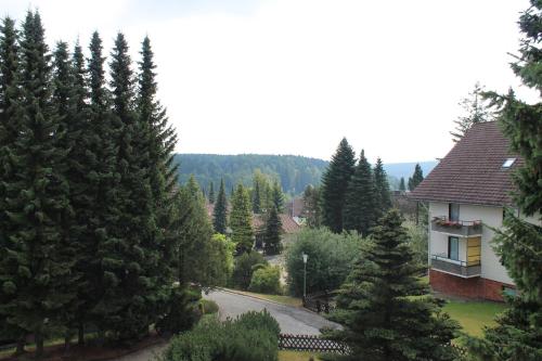 Ferienwohnungen Lübbers Braunlage allemagne