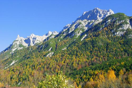 Appartements Ferienwohnungen Merzer Innsbrucker Str. 74 Mittenwald