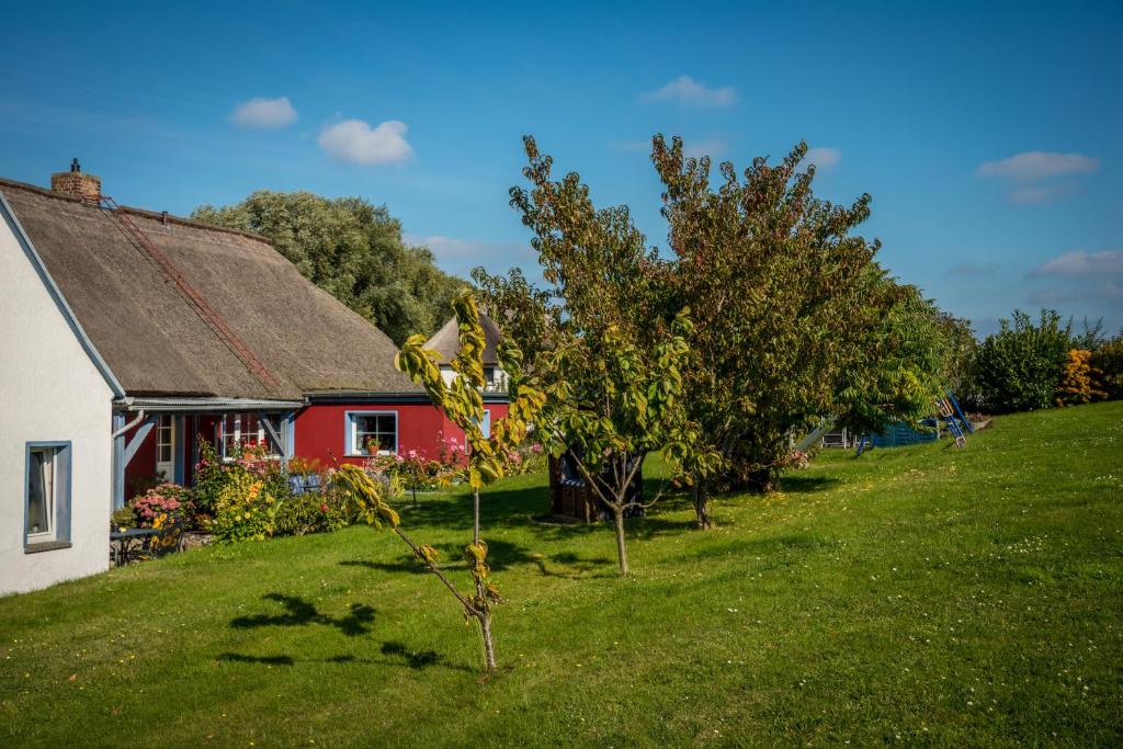 Appartements Ferienwohnungen Müller Zum Höft 53, 18586 Gager