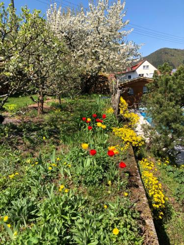 Ferienwohnungen Ries Eußerthal allemagne