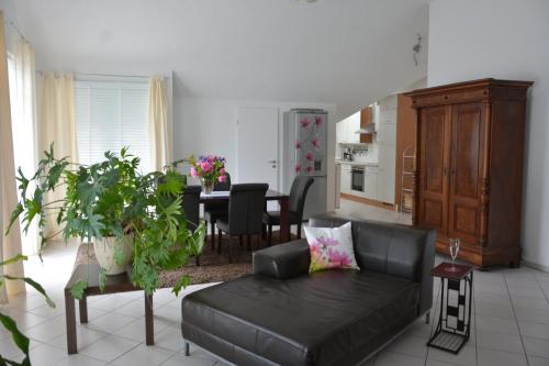 Appartements Ferienwohnungen Steinhof-Littmann Selzenweg 28 Kippenheim