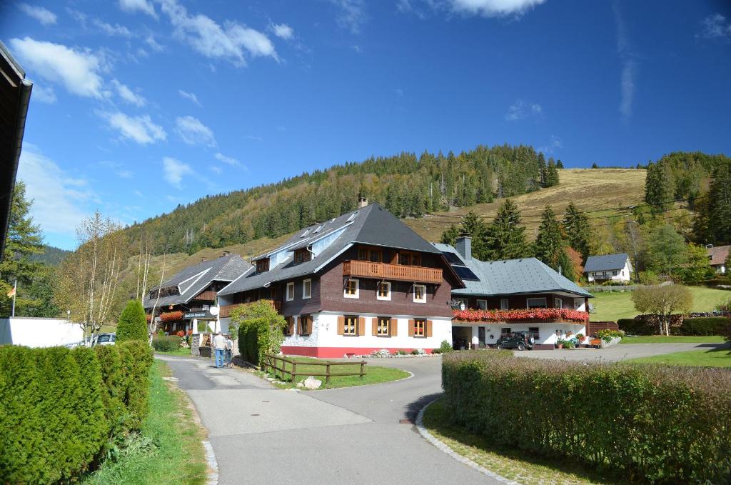 Appartements Ferienwohnungen Sternenthal Am Fischrain 4a, 79837 Menzenschwand