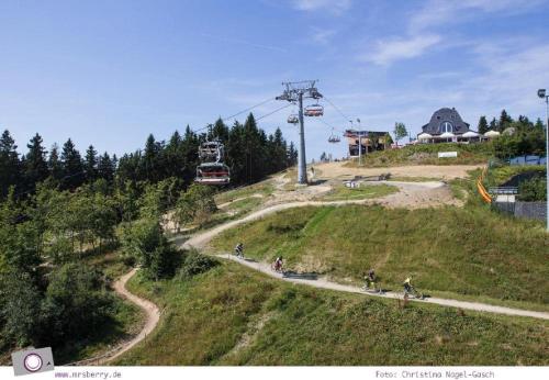 Appartements Ferienwohnungen Tausch am Fichtenweg 54 Fichtenweg Winterberg