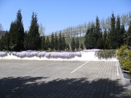 Ferienwohnungen Trapp-Mayer im ersten OG,Hunde willkommen Bitzenhofen allemagne