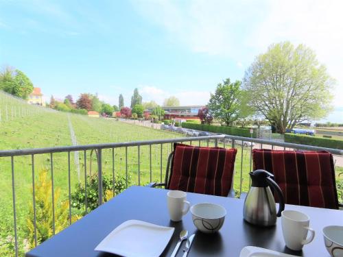 Ferienwohnungen Traumseeblick KomfortAmSee Meersburg allemagne