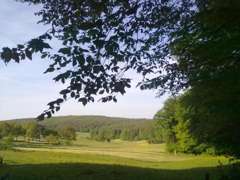 Séjour à la ferme Ferienwohnungen Zeltnerhof Hengmantel 5, 64750 Breitenbrunn