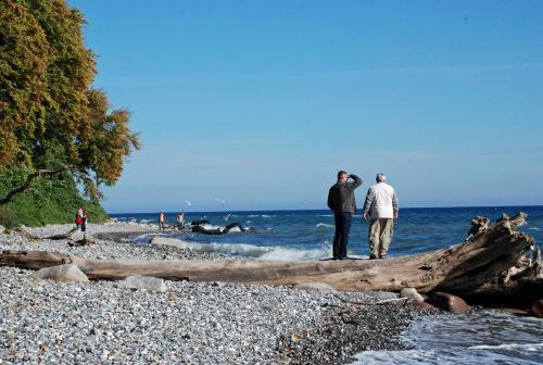 Séjour chez l'habitant Ferienwohnungen zwischen Ostsee und Bodden Seestraße 11b Sellin