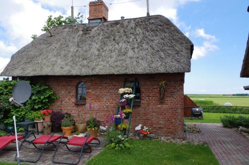 Appartement Ferienwohung II (Schardeich) Westermühle 1 Pellworm