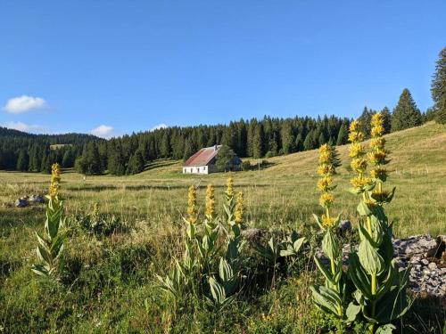 Maison de vacances Ferme d'alpage La Bâtie Dessous Bâtie Dessous Mouthe