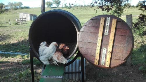 Ferme de Bellevue Landes-le-Gaulois france