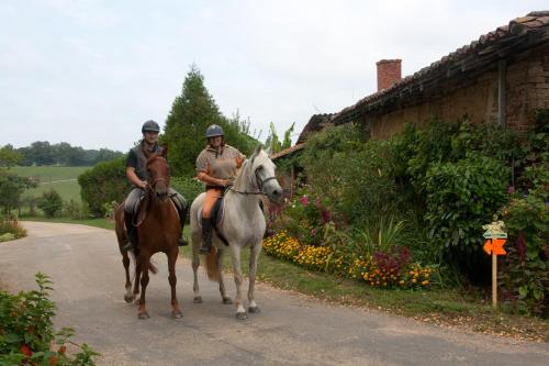 Ferme De Montalibord Vescours france