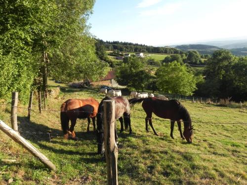 Ferme des Entremains Mardore france