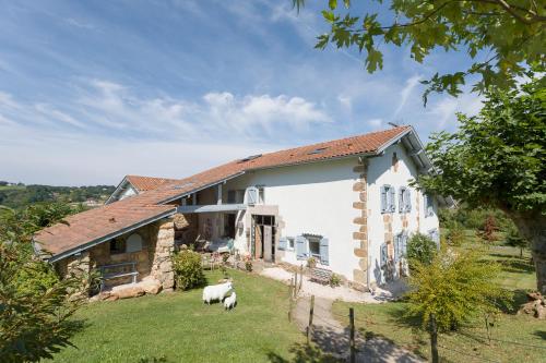 B&B / Chambre d'hôtes Ferme Elhorga Quartier Helbarron Chemin d'Elhorga Saint-Pée-sur-Nivelle