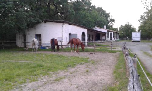 ferme équestre des abrons Pailloles france