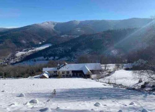 Ferme La Tourelle, nature & vue Sainte-Marie-aux-Mines france