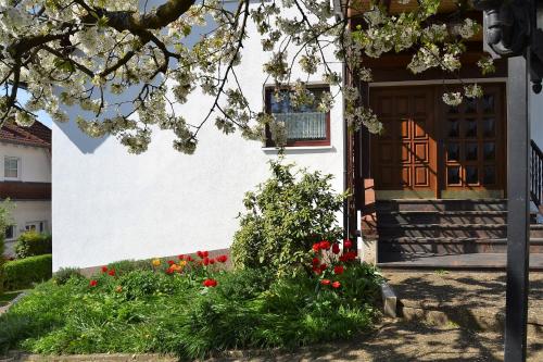 FeWo Ackermann Modautal allemagne