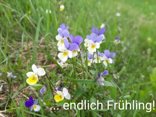 Fewo an der Teufelskanzel Annaberg-Buchholz allemagne