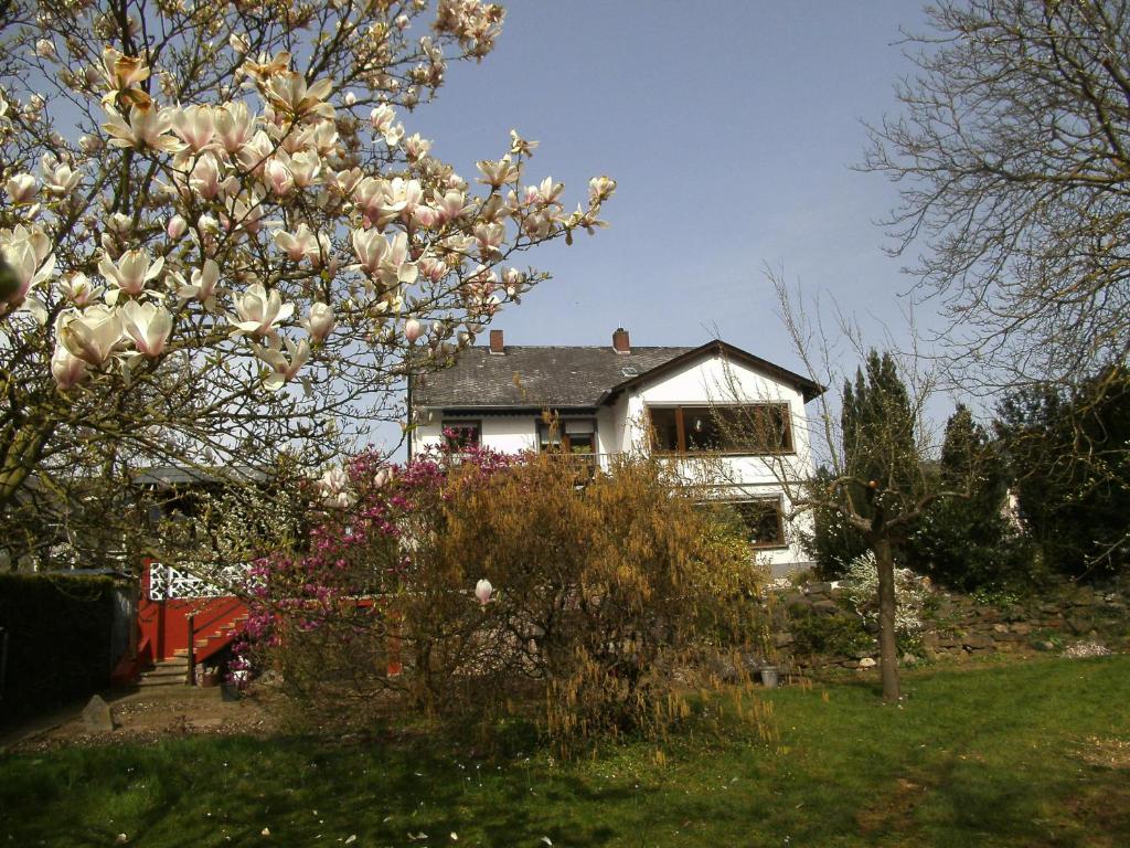 Appartement Fewo Gästezimmer Goldbäumchenstr.18, 56821 Ellenz-Poltersdorf