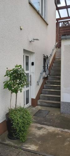 Appartement FeWo Hafner \ 13 Siechenberg Schnaittach