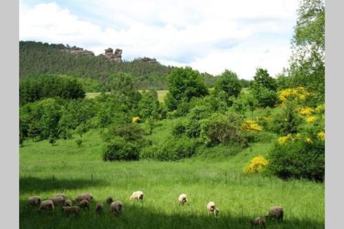 Appartement Fewo im Herzen der Pfalz mit Sonnenterrasse 10 Hohlgasse Gossersweiler-Stein