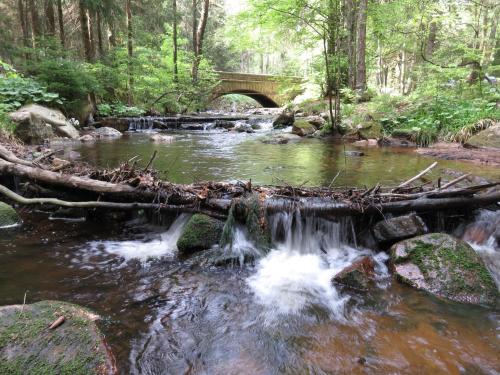 FeWo Kruse am Wurmberg Braunlage allemagne