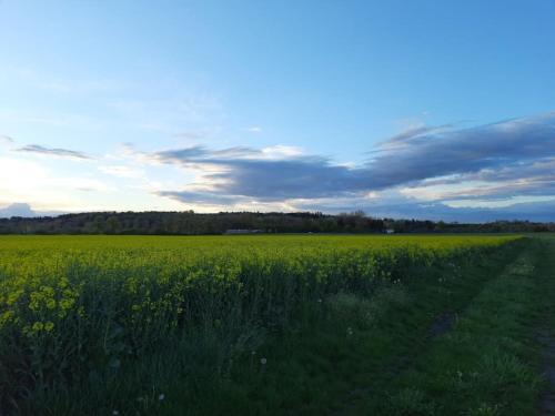 FeWo Lichtblick Mengen allemagne