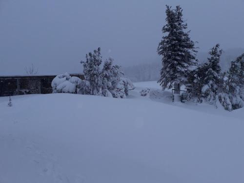 Appartement Fewo mit Fichtelberg und Keilbergblick Bergstrasse 27 1 Etage Bärenstein