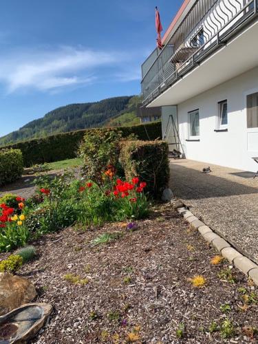 Appartement Fewo Moselblick 36 Überm Tratwingert Traben-Trarbach