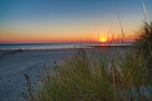 FEWO Mövennest Borkum allemagne