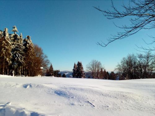 Fewo-Mueller Klingenthal allemagne
