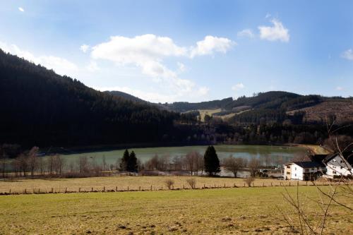 Fewo Schloßberg Niedersfeld Winterberg allemagne