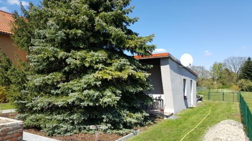 Appartements FeWo Schütz Winkelmannstr. 13 Langewahl