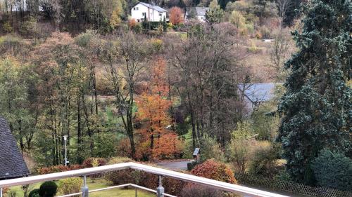 FeWo Stryck Idyllika Willingen allemagne