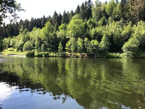 Appartement FeWo Sunshine Altenau 8A Auf dem Glockenberg Altenau