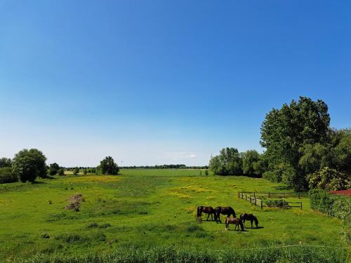 FeWo Vißer‘s Landblick Krummhörn allemagne