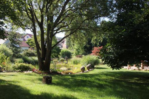 FeWo - Wohlfühlambiente & Gartenparadies Modautal allemagne