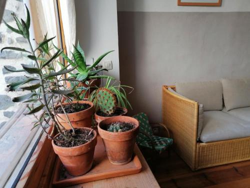 File dans ta chambre ! Le Monastier sur Gazeille france