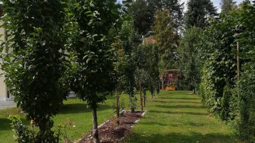 Appartement Fischer Brigitte Rohrwiesenweg 38 Bad Kötzting