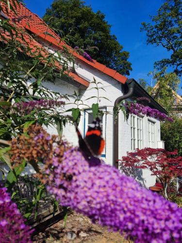 Fischerhaus Blankenese Hambourg allemagne