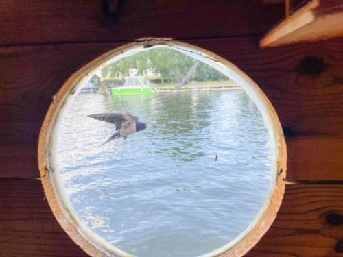 Bateau-hôtel Floßvermietung auf der Peene am Kummerower See bei Dargun 2 Aalbude Dargun