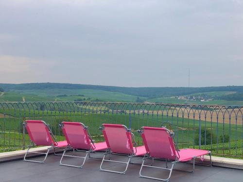 FLORESSENS EN CHAMPAGNE Terrasse privative sur le vignoble Fleury-la-Rivière france